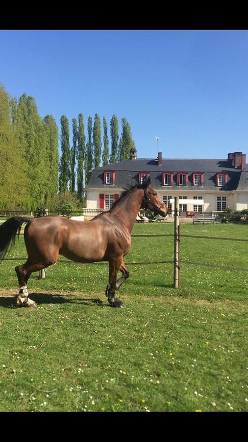 Le Domaine De Barbizon Hotel Saint-Martin-en-Biere Bagian luar foto